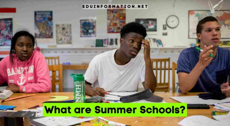 What are Summer Schools?