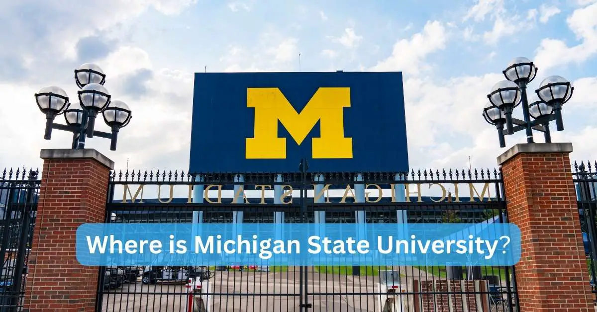 Where is Michigan State University
